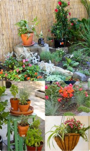 msbockle_may_gardening_projects