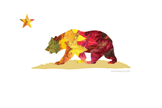 cali_bear_autumn_leaf_collage