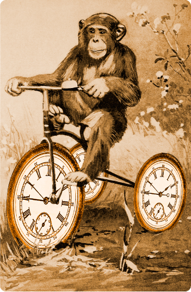 chimp_on_timebike