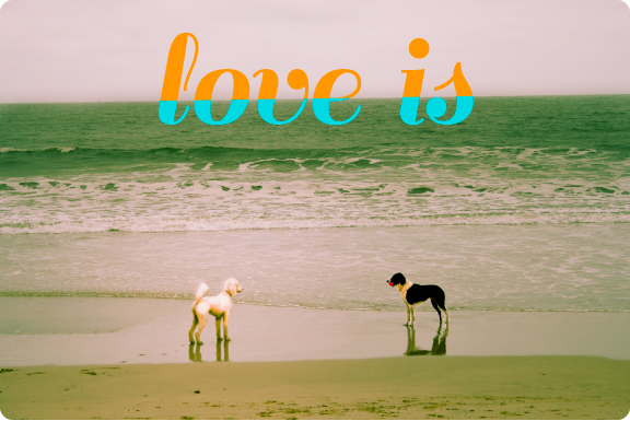 love_is