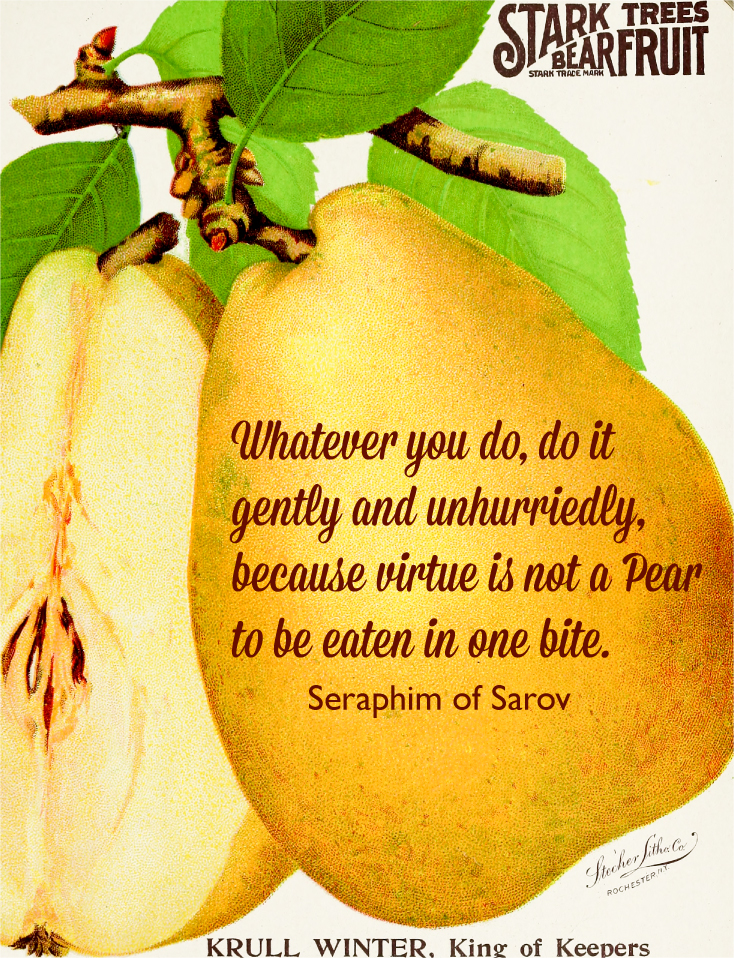 pears_quote